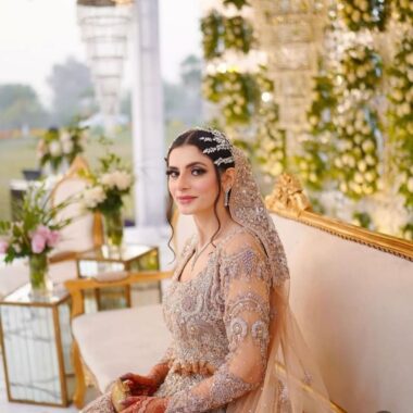 Silver Beige Embellished Bridal Gown