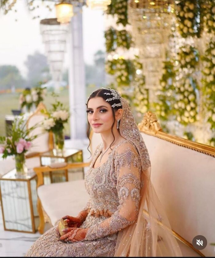 Silver Beige Embellished Bridal Gown